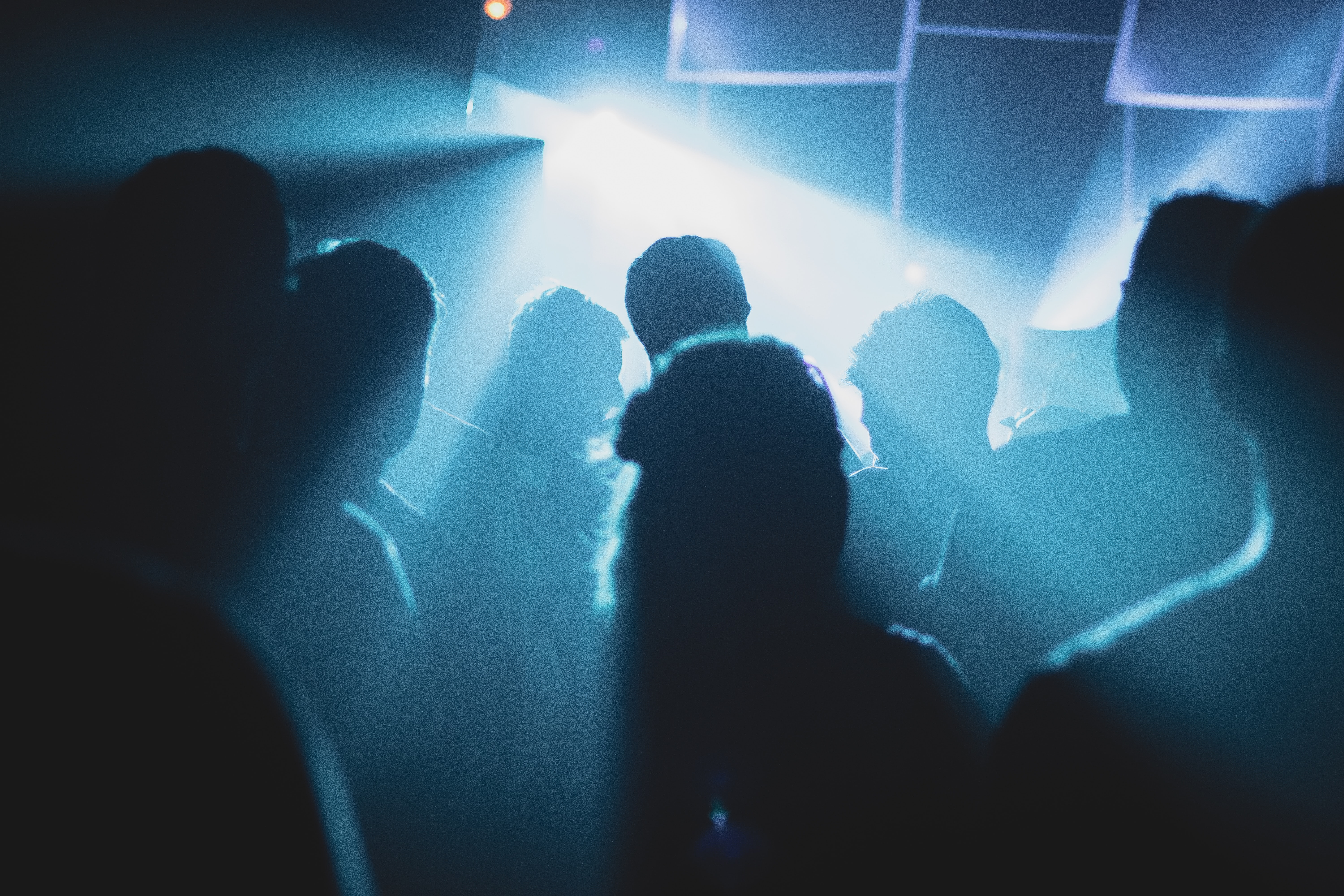 PartyVizion